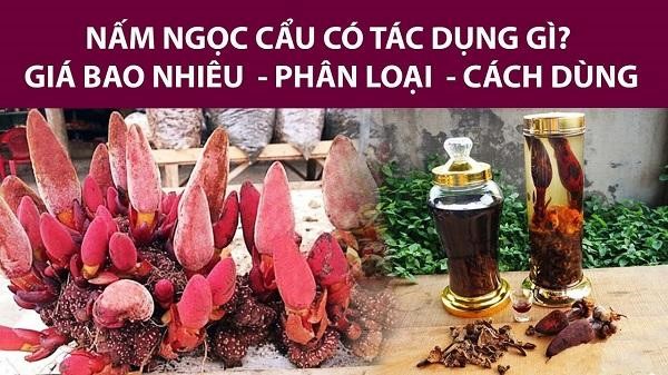 nấm ngọc cẩu