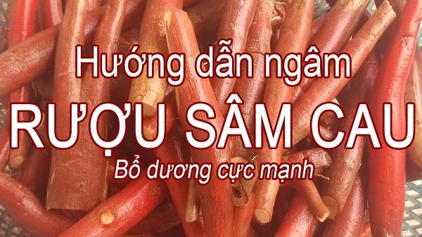 sâm cau đỏ