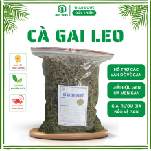Cà Gai Leo loại 1 – Hỗ trợ điều trị viêm gan, xơ gan, men gan cao, giải độc gan, phòng ngừa ung thư gan