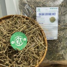 Dược liệu cà gai leo loại 1 tại Thảo Dược Đức Thiện, không vụn nát, đảm bảo dược tính cao