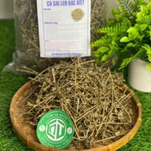 Trưng bày sản phẩm cà gai leo khô sạch, an toàn cho sức khỏe tại cửa hàng Thảo Dược Đức Thiện