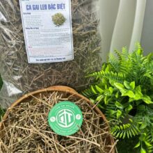 Sản phẩm cà gai leo khô kèm tem cam kết chất lượng từ Thảo Dược Đức Thiện