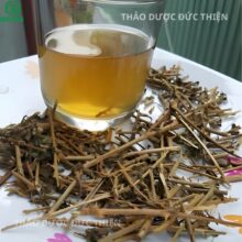 Ly nước sắc trà cà gai leo có màu vàng nâu giúp giải độc gan