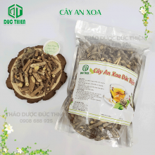 1kg Cây An Xoa Loại 1 Đức Thiện – (Khô, Sạch, Thơm) – Hỗ Trợ Điều Trị Ung Thư Gan Và Các Bệnh Về Gan