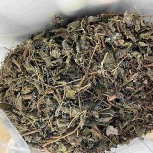 Cận cảnh chè dây khô có nhiều phấn trắng (nhựa chè) giúp phân biệt với chè dây bị mốc
