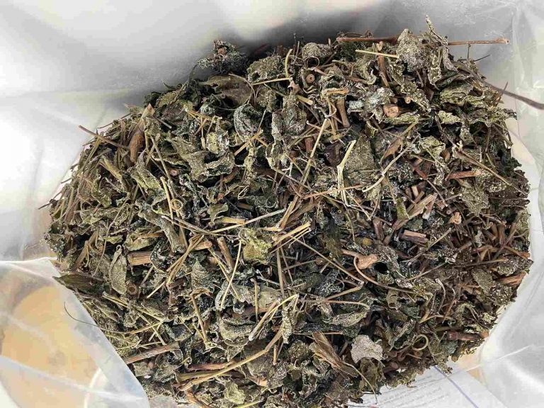 Cận cảnh chè dây khô có nhiều phấn trắng (nhựa chè) giúp phân biệt với chè dây bị mốc