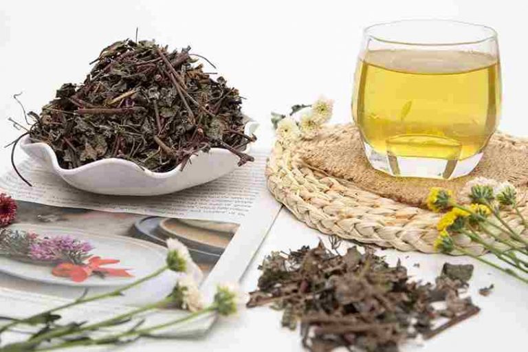 Cách dùng chè dây: hãm chè dây khô bằng nước sôi trong bình có nắp đậy