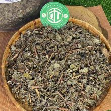 Cận cảnh lớp phấn trắng như tuyết trên lá chè dây khô - đặc điểm nhận dạng dược liệu chuẩn, phân biệt với nấm mốc