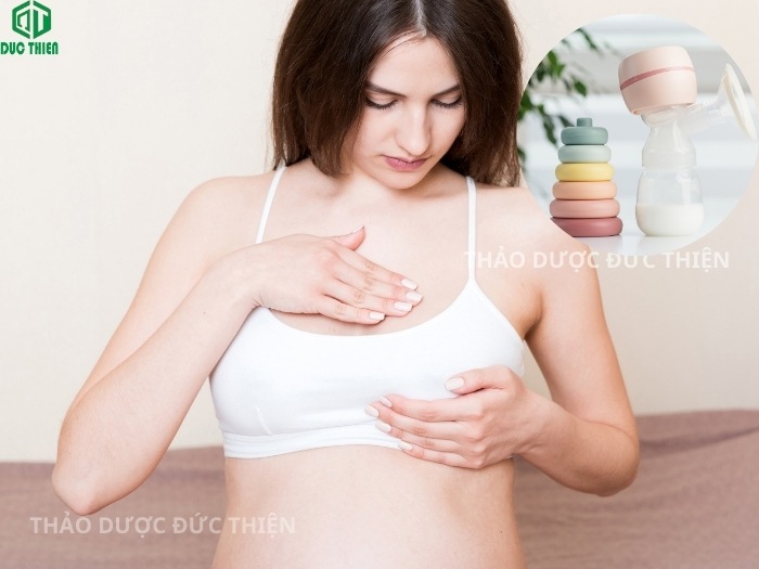 Mẹ bỉm sữa sử dụng chè vằng sẻ để kích sữa và thông tắc tia sữa