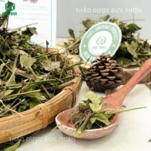 Mẹ bỉm sữa tin dùng chè vằng sẻ để gọi sữa về và giảm mỡ bụng