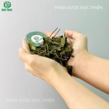 Chè vằng sẻ khô Quảng Trị nguyên chất trên tay người dùng
