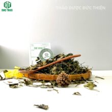 Trưng bày chè vằng sẻ khô kèm tờ hướng dẫn sử dụng chi tiết