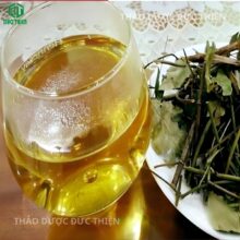 Nước sắc chè vằng sẻ có màu vàng xanh sáng vị đắng thanh hậu ngọt