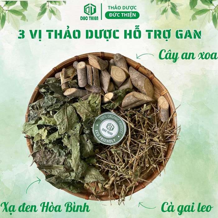 Combo 3 vị thảo dược hỗ trợ gan: Cây an xoa, Xạ đen Hòa Bình và Cà gai leo chuẩn organic