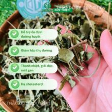Dây thìa canh có tác dụng hỗ trợ ổn định đường huyết, hạ cholesterol và thanh nhiệt giải độc.