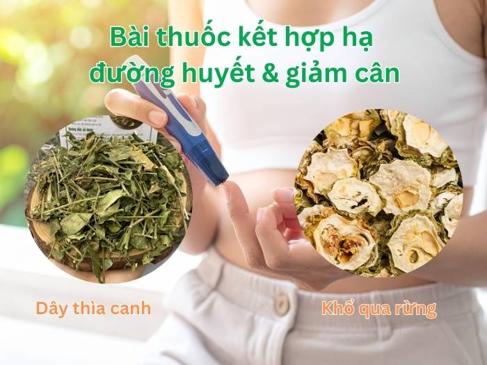Bài thuốc nam kết hợp dây thìa canh và khổ qua rừng giúp hạ đường huyết và hỗ trợ giảm cân.