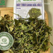 Dược liệu dây thìa canh khô nguyên chất loại 1, lá và cành được sơ chế sạch sẽ.