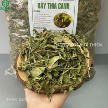 Địa chỉ mua dây thìa canh uy tín tại TPHCM - Thảo Dược Đức Thiện cam kết hàng rừng chuẩn.