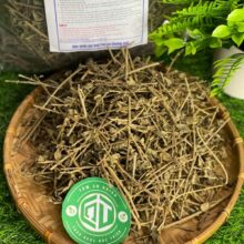 Dược liệu cà gai leo khô nguyên chất không ẩm mốc