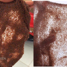 Test độ kết dính siêu dai của hạt ngũ hoa Đức Thiện tạo lớp màng collagen tươi không bị đứt