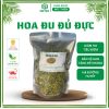 hoa đu đủ đực, dược liệu ung thư, tăng đề kháng, xạ đen, thảo dược thiên nhiên