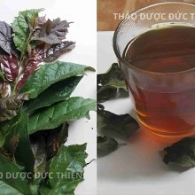 Ly nước trà xạ đen sau khi nấu có màu nâu đậm, vị thơm nhẹ, dễ uống hàng ngày