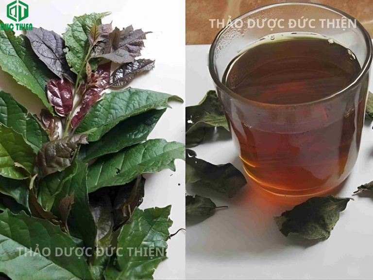Ly nước trà xạ đen sau khi nấu có màu nâu đậm, vị thơm nhẹ, dễ uống hàng ngày