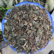 Dược liệu chè dây khô được sơ chế sạch sẽ, phơi sấy tự nhiên, không lẫn tạp chất
