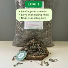 che-day-loai-1-gia-tot-ho-tro-trao-nguoc-da-day