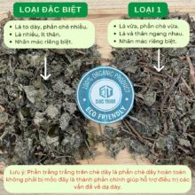 phan-biet-che-day-loai-dac-biet-va-loai-1-phan-che