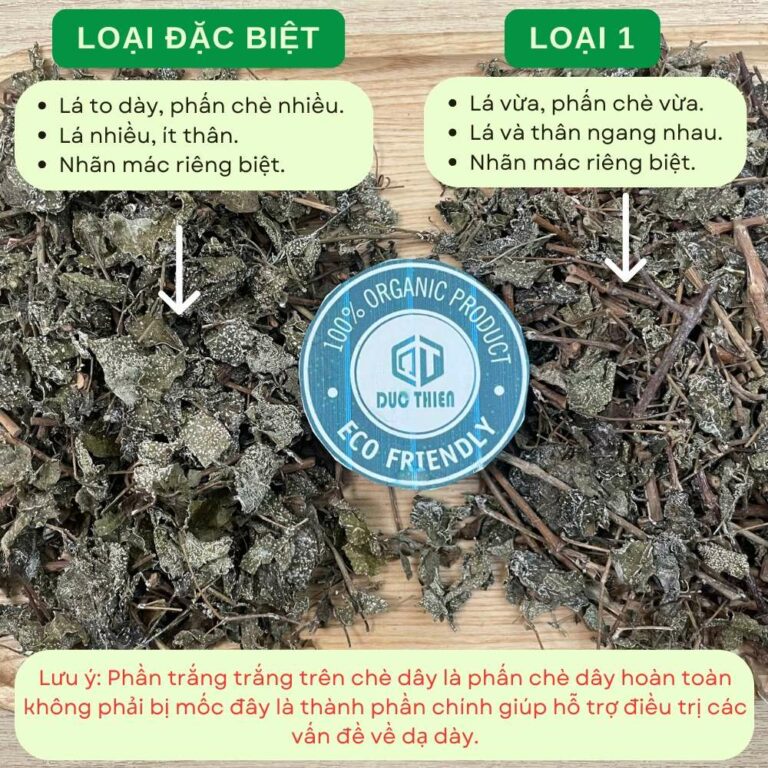 phan-biet-che-day-loai-dac-biet-va-loai-1-phan-che