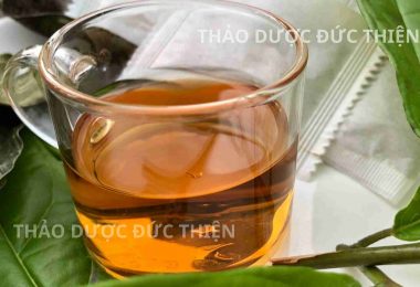 Trà Lá Nam 10 Vị Uống Lúc Nào Tốt Nhất? Cách Dùng Và Những Lưu Ý