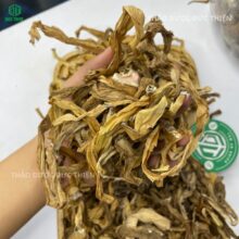 Lá trinh nữ hoàng cung khô trên tay người dùng - Giải pháp hỗ trợ điều trị phì đại tuyến tiền liệt ở nam giới