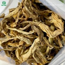 Soi chi tiết chất lượng lá trinh nữ hoàng cung khô không pha trộn cây náng trắng