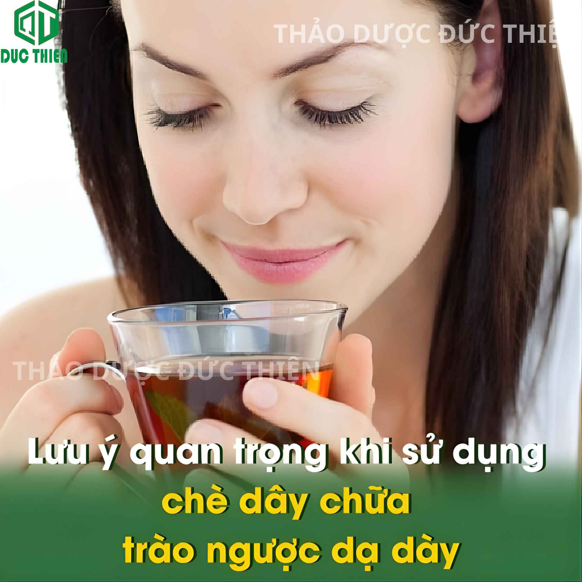 Uống chè dây hàng ngày giúp thanh nhiệt, giải độc gan, đẹp da và hỗ trợ tiêu hóa tốt