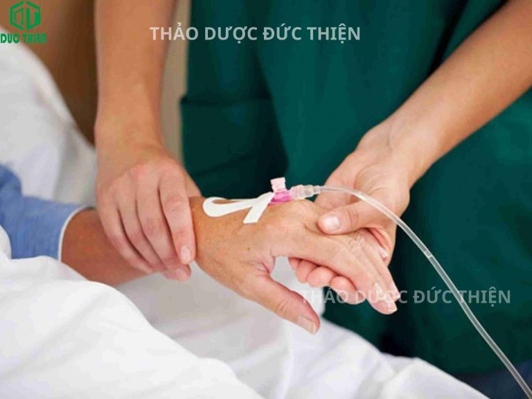 Cây xạ đen có tác dụng hỗ trợ điều trị ung thư, tiêu hạch và giảm tác dụng phụ của hóa xạ trị