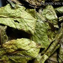 Sản phẩm lá xạ đen khô Hòa Bình chuẩn gốc, phơi sấy tự nhiên, đóng gói sạch sẽ tại Đức Thiện