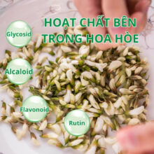 Các hoạt chất bên trong hoa hòe có lợi cho sức khỏe