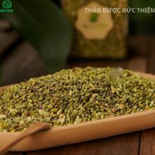 Bảo quản nụ hoa hòe khô loại 1, nụ mập, ít cuống và không lẫn tạp chất