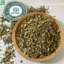 Cận cảnh nụ hoa hòe sao vàng thơm nồng, màu vàng xám đặc trưng chứa nhiều Rutin