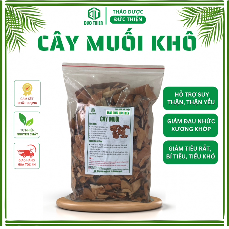 Cây muối khô – thảo dược thanh nhiệt, giải độc, hỗ trợ tiêu hóa