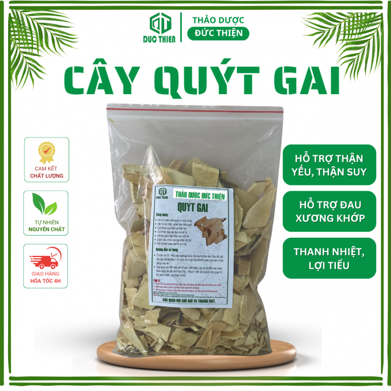 Quýt gai – thảo dược thanh nhiệt, lợi tiểu, chữa suy thận