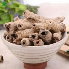 Chi tiết mặt cắt rỗng của củ ba kích khô chứng minh đã được rút lõi 100%