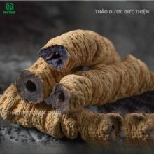 Cận cảnh thịt củ màu tím sẫm (tím than) đặc trưng của dòng ba kích tím khô cao cấp