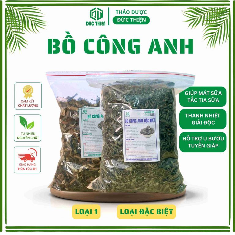 Ảnh nền sản phẩm bồ công anh Thảo Dược Đức Thiện