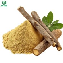 Bột rễ cam thảo và rễ cây cam thảo khô nguyên vỏ