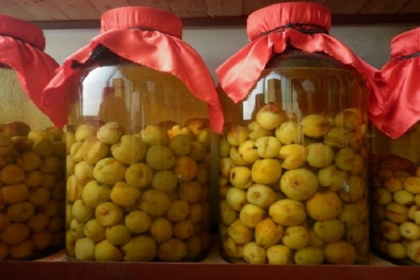 Cách ngâm táo mèo tươi Tây Bắc