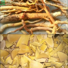 So sánh rễ mật nhân tươi và thành phẩm lát khô sấy sạch giữ nguyên chất lượng của Đức Thiện