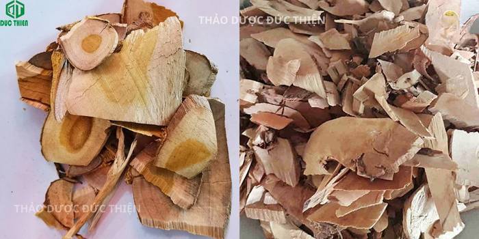 Sản phẩm Cây muối khô (Diêm phu mộc) đóng gói của Thảo Dược Đức Thiện, chuyên hỗ trợ điều trị suy thận