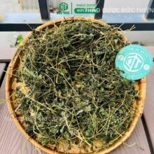 mẹt giảo cổ lam khô xanh đẹp làm dược liệu của thảo dược Đức Thiện.